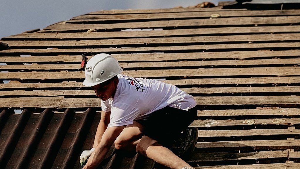 Birds, Wasps and Rodents in Your Soffit: How They Get In — and How We Close It